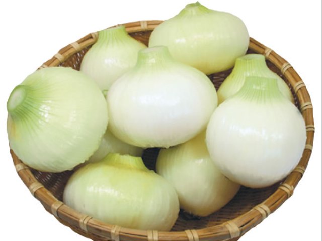 B6-15 サラたまちゃん10㎏(サラたまちゃんドレッシング付き)（令和7年4月下旬より順次発送いたします）