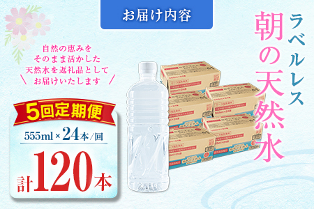 【定期便】 シリカ 朝の天然水 555ml 24本 5回 ラベルレス 中硬水 ミネラルウォーター シリカ水 ケイ素 常温保存 備蓄 防災 宮崎県 霧島連山