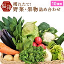 【ふるさと納税】穫れたて！ 野菜・果物詰め合わせ 10品目 あんずの里 野菜 果物 フルーツ セット 詰め合わせ 春 旬 福岡県産 九州産 国産 送料無料 [F0042]