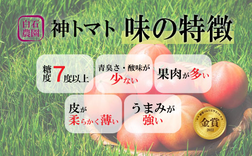 【先行受付】神トマト3K箱 HOKY001
