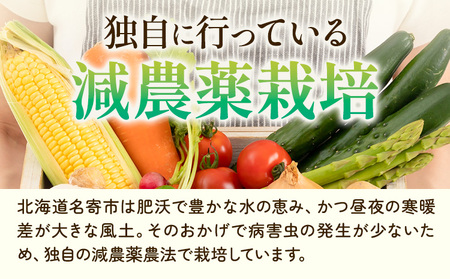 【先行予約】令和6年産　北海道名寄市の『あまく・太く・やわらかい』グリーンアスパラ２Ｌサイズ約1kg（約30本） ※2024年5月下旬～6月下旬頃に順次発送予定