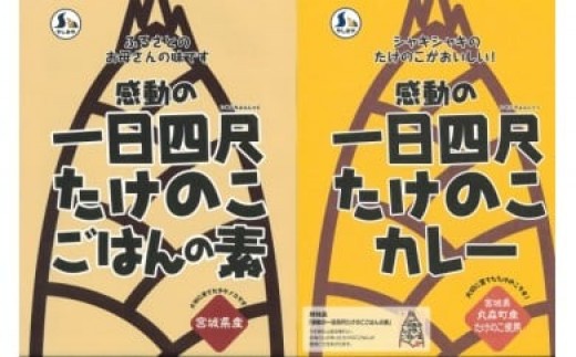 
                  【丸森町特産】 たけのこカレー3個とたけのこご飯のもと2個【66005AA0101】
                