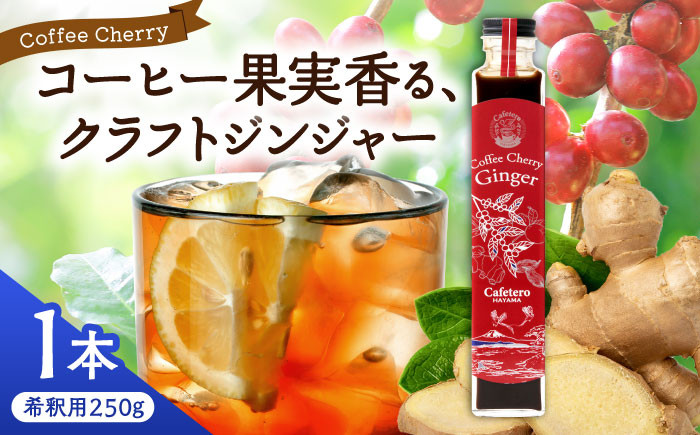 
                  クラフトジンジャー コーヒーチェリージンジャー 250g×1本 / ジンジャー エナジードリンク コーヒーチェリー 神奈川県 葉山町 クラフトジンジャー 天然 ドリンク 【カフェテーロ葉山】 [ASBM003]
                