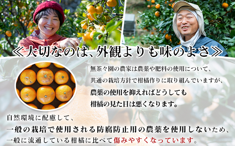 【先行予約】＜無茶々園の甘夏 約3kg＞ 果物 あまなつ みかん ミカン 蜜柑 柑橘 フルーツ 期間限定 季節限定 食べて応援 特産品 愛媛県 西予市