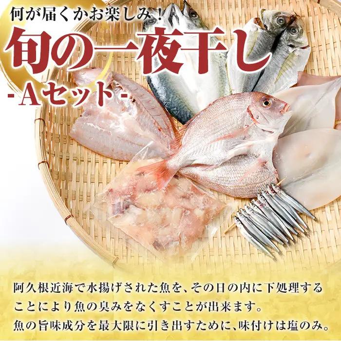 数量限定！阿久根市産の旬の一夜干しグルメ＜A＞セット(鯛・アジ・イカ・サバなど)国産 鮮魚 詰め合わせ お楽しみ 海の幸 魚介類 干物 海鮮【さるがく水産】akn028-06