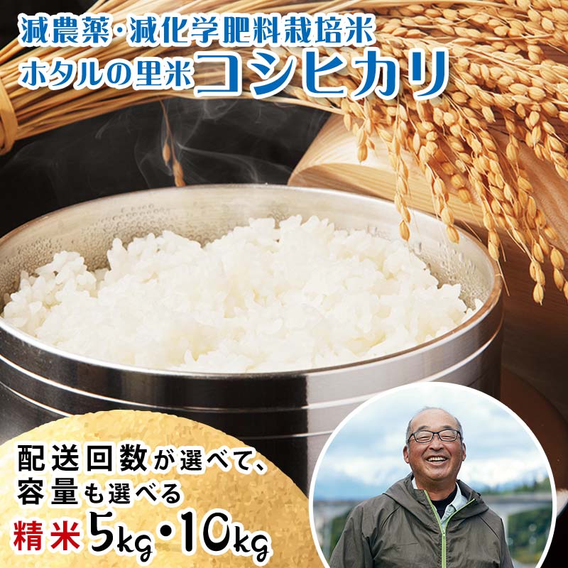 【ふるさと納税】《選べる定期便》【ホタルの里米】環境に配慮し農薬を減らした栽培米コシヒカリ精米 《選べる5kg・10kg》 米 お米 おこめ ご飯 ごはん 福島県 西会津町 容量が選べる F4D-0693var