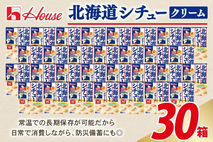 ハウス 北海道シチュークリーム 30個