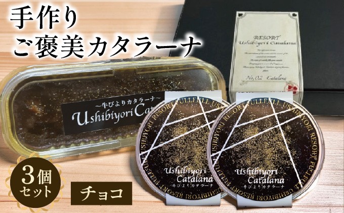 
                  牛びより カタラーナ(チョコ) セット[063-a004]
                