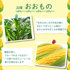 とうもろこし 5kg スイートコーン おおもの とうもろこし