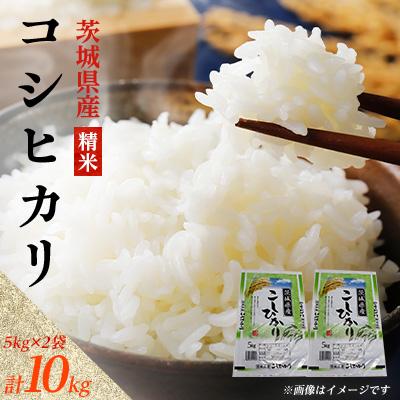 ふるさと納税 阿見町 茨城県産 コシヒカリ 精米 10kg(5kg×2袋)お米