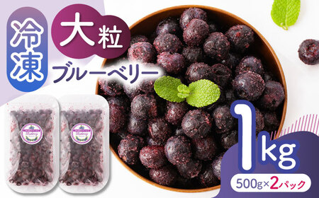 大粒 冷凍ブルーベリー 約1000g（約500g×2pc） 【すみれファーム】果物 フルーツ くだもの 大粒 小分け 熊本県産ブルーベリー [ZEP007] 