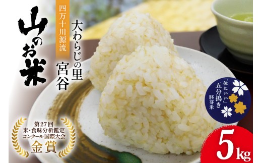 米 大わらじの里 宮谷 山のお米 五分搗き 胚芽米 5kg [宮谷営農組合瑞穂ファーム 高知県 津野町 26aq0021] ふるさと納税 五分搗き 五分づき 5分搗き 5分づき 胚芽精米 食物繊維 コメ こめ お米 ごはん 国産 5キロ