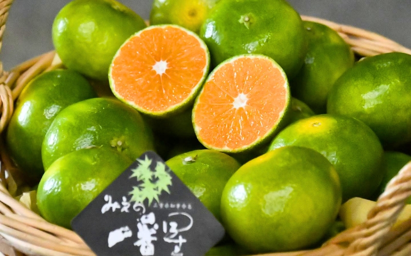 【三重ブランド認定品】 みかん JAみえの一番星 (味一号)  超極早生 約5kg S～Lサイズ  光センサー選果 | みかん ミカン 蜜柑 温州みかん 温州ミカン 柑橘 フルーツ 果物 くだもの 甘