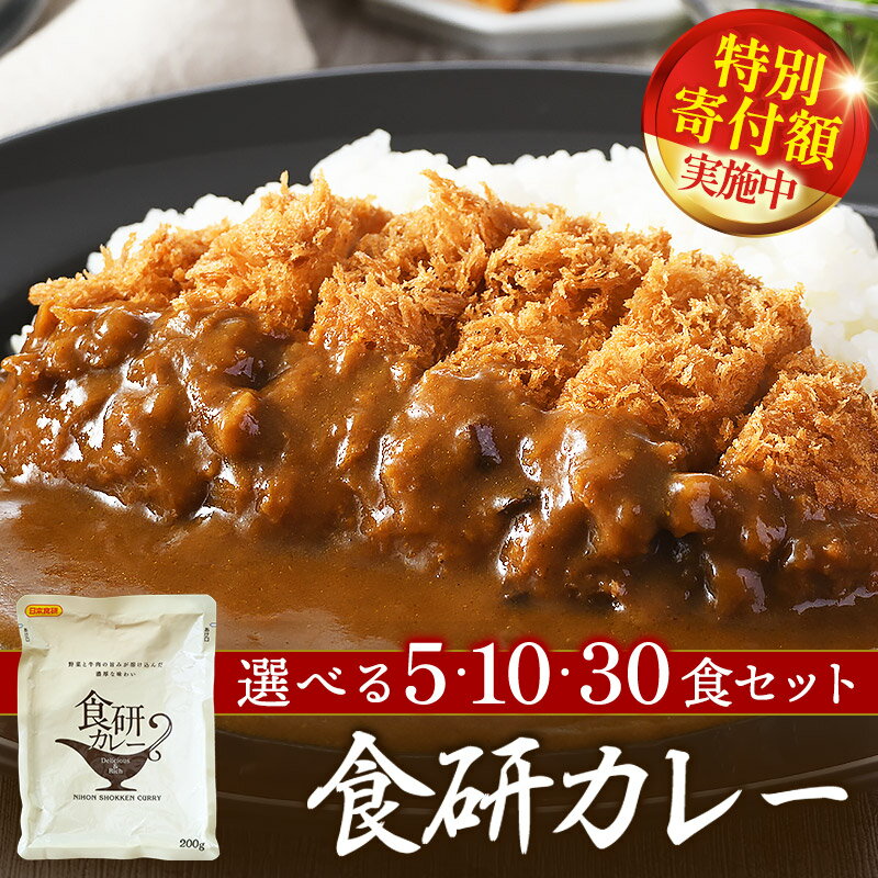 【ふるさと納税】＼期間限定特別寄附額／＼レビューキャンペーン実施／食研カレー（200g×5袋～30袋）カレー レトルト 日本食研カレー レトルトカレー カレーセット ご当地 30袋 一人暮らし 今治 食べ物 常温 家庭用 加工品 国産 日本食研 愛媛ふるさと納税【VB02360】