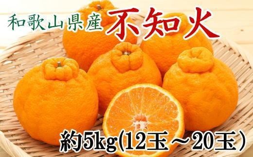 和歌山県産不知火約5kg（12玉～20玉おまかせ）2L～5Lサイズ★2027年2月下旬頃より順次発送［TM131］