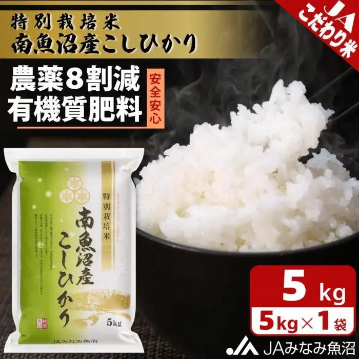 【令和7年】特別栽培米南魚沼産こしひかり8割減 5kg 精米｜こしひかり