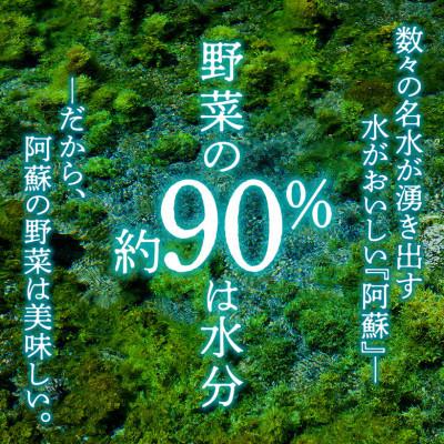 ふるさと納税 阿蘇市 季節のお野菜セットM 旬のお野菜の中から約5品を厳選してお届け |  | 02
