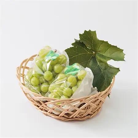 【2026年度発送分】早起き農家の直送便　わけありシャインマスカット2kg【配送不可地域：離島・北海道・沖縄県】【1428073】