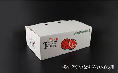 みかん 【先行予約☆贈答にもオススメ】「西の恵」 原口 みかん 約3kg 長崎 西海 ミカン みかん 柑橘 蜜柑 贈答 ギフト みかん ＜ファームまるだ＞ [CDT005]