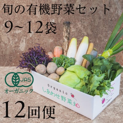 
            ＜毎月定期便＞しあわせ野菜畑の有機野菜　Lセット　(安心の有機JAS認証　オーガニック野菜)全12回【4066009】
          
