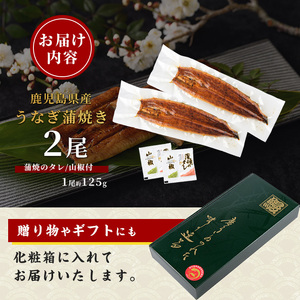 【鹿児島県産】うなぎ蒲焼じっくり焼き約125g×2尾 化粧箱入り(大新/012-2001) 化粧箱入り 鰻 ウナギ 蒲焼 国産 丑の日 うな重 無頭 ギフト プレゼント 贈り物 贈答