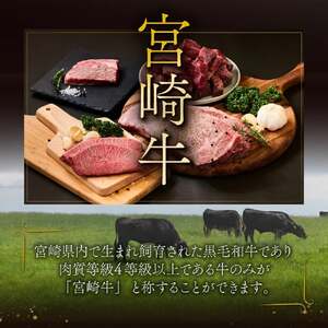 SKRFSS-1-2508＜2025年8月発送分＞　宮崎牛ヒレサイコロステーキ（400g）