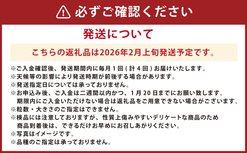 【年4回定期便】熊本の魅力たっぷり、特別な定期便 熊本県産 ミニトマト 約3kg イチゴ 250g×2パック 約500ｇ 大玉トマト 約3.5㎏ メロン 2玉【2026年2月上旬発送開始】4種 フルー