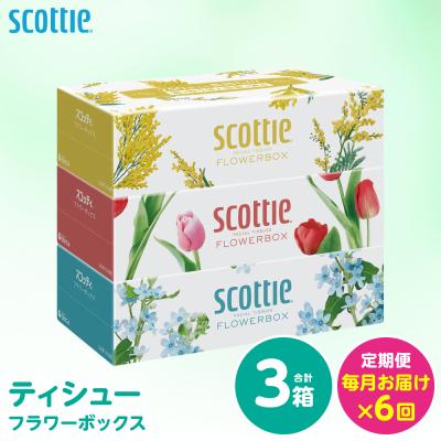 ふるさと納税 八代市 【毎月定期便】 ティッシュ 250箱 3箱 日用品 スコッティ 全6回_186-6712