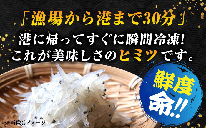【全3回定期便】生しらすのプリッした食感と塩味が抜群！生しらす50gX5個 冷凍 シラス 鮮魚 ギフト 海鮮丼 広島県産 江田島市/三島水産株式会社 [XCN011] 定期便
