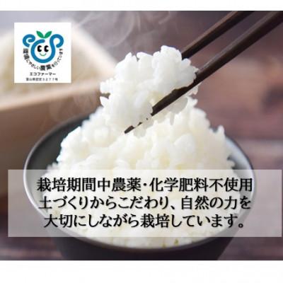 ふるさと納税 小矢部市 栽培期間中農薬・化学肥料不使用　こしひかり　白米 5kg×4袋(20kg) |  | 01