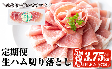 ＜定期便・全5回(連続)＞ 鹿児島 国産 豚 生ハム 切り落とし（計3.75kg/計750g・75g×10P×5回） 【ナンチク】 T30