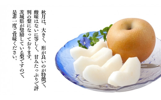 【 2026年 先行予約 】 厳選 2種！恵水 と 秋月 の 食べ比べセット 約3kg 5玉～7玉 【 茨城県共通返礼品 ／ 常陸太田市 】 2026年9月中旬発送 桧山果樹園[DU019sa]