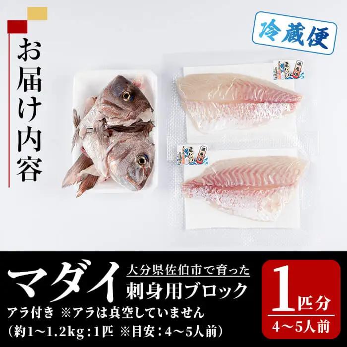 マダイ 刺身用 ブロック (1匹分・4-5人前) マダイ 真鯛 鮮魚 刺身 海鮮 鮮魚 さしみ 刺し身  【opba004】【海べ】