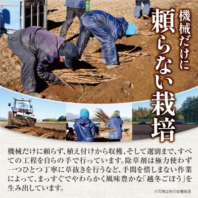 ふるさと納税 清水町 先行受付!2026年10月頃〜発送開始!北海道十勝清水町産 ごぼう! 5kg |  | 02