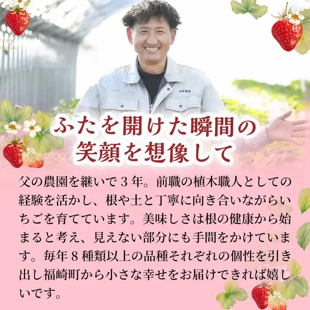 【爽やかな甘酸っぱさ】完熟いちごシャーベット 10個 いちご シャーベット スイーツ 果物 フルーツ 大粒 濃厚 産地直送  ギフト 贈答用 兵庫県 福崎町