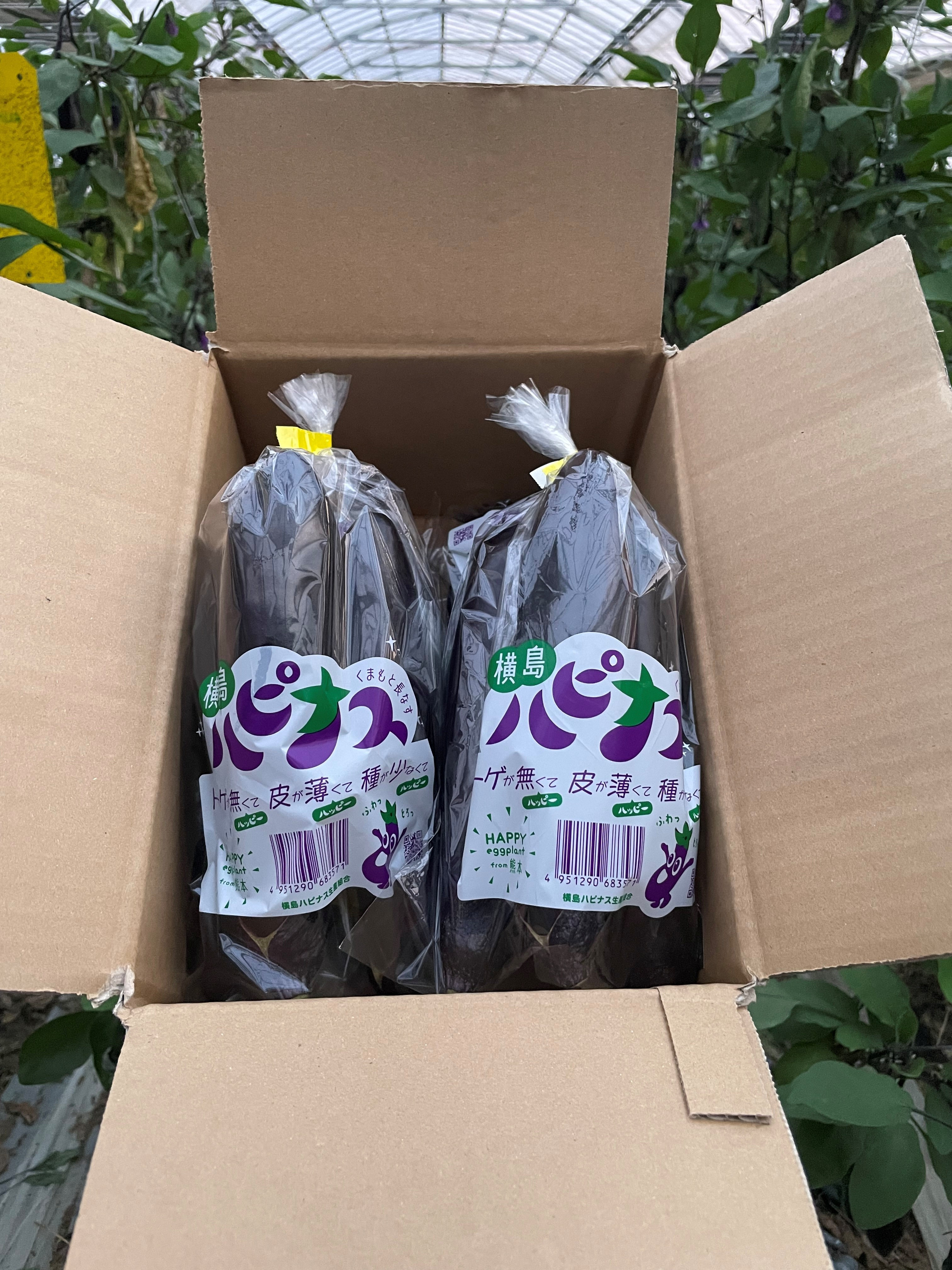 
            ハピナス 玉名市産 長なす 約3㎏（300ｇ～400ｇ×8袋）｜ 野菜 やさい 茄子 なすび とげ無 種少 薄皮 季節野菜 袋詰め 小分け 熊本県 玉名市
          