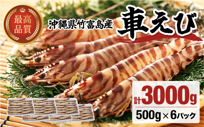 冷凍車えび 3kg 竹富島産 エビ