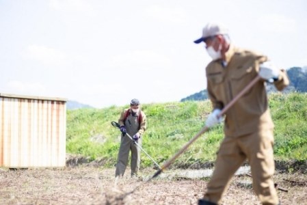 草刈り代行作業（51平方メートル～100平方メートル） CR02