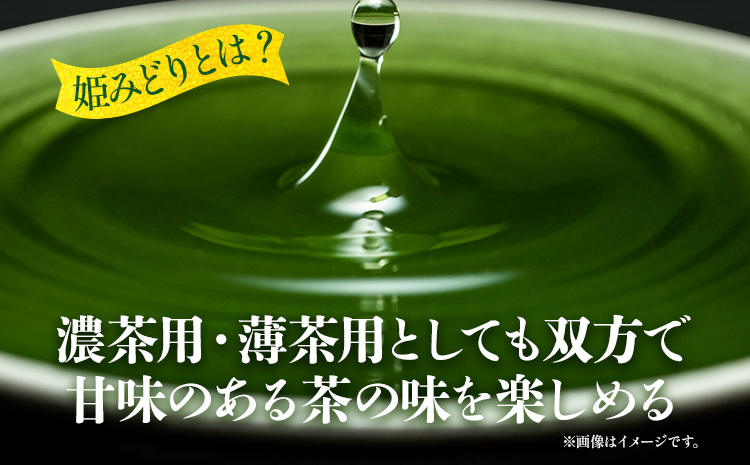 【2026年産】 抹茶 お茶 星2026年6月22日以降順次発送予定＞ お取り寄せグルメ お取り寄せ 福岡 お土産 九州 福岡土産 取り寄せ グルメ 福岡県
