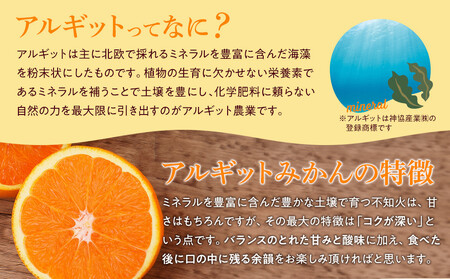 【年内発送指定】 完熟 アルギット みかん 3kg M ～ L サイズ 【発送期間：2025年12月21日～12月30日】 先行予約 みかん 有田みかん 甘い おいしい ジューシー 皮 薄い 完熟 期