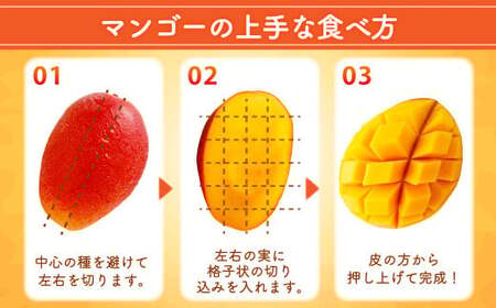 ＜宮崎県産 完熟マンゴー 2L×2玉＞ ※2026年5月上旬～7月中旬までに順次出荷 【DM-f-001】マンゴー 果物 くだもの フルーツ 完熟 南国