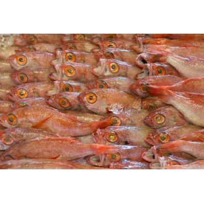 ふるさと納税 浜田市 大秀商店の「干しのどぐろ(100g〜120g)」個包装10尾入り |  | 02