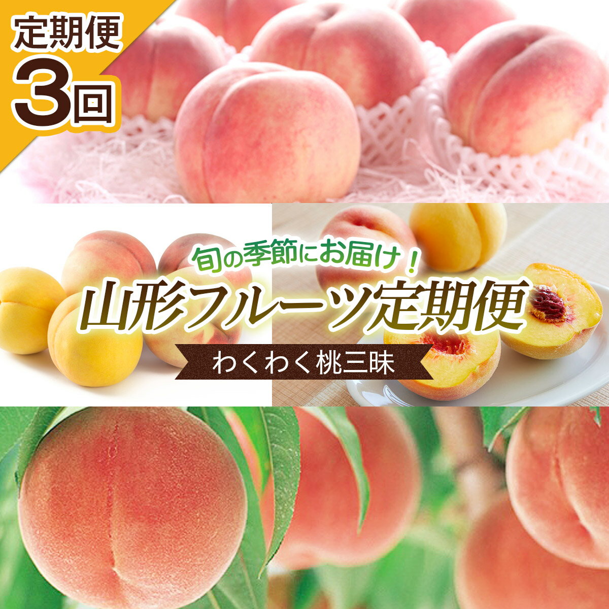 【ふるさと納税】【定期便3回】旬の時期にお届け！わくわく桃三昧定期便 【令和8年産先行予約】FU22-744 くだもの 果物 フルーツ 山形 山形県 山形市 お取り寄せ 2026年産