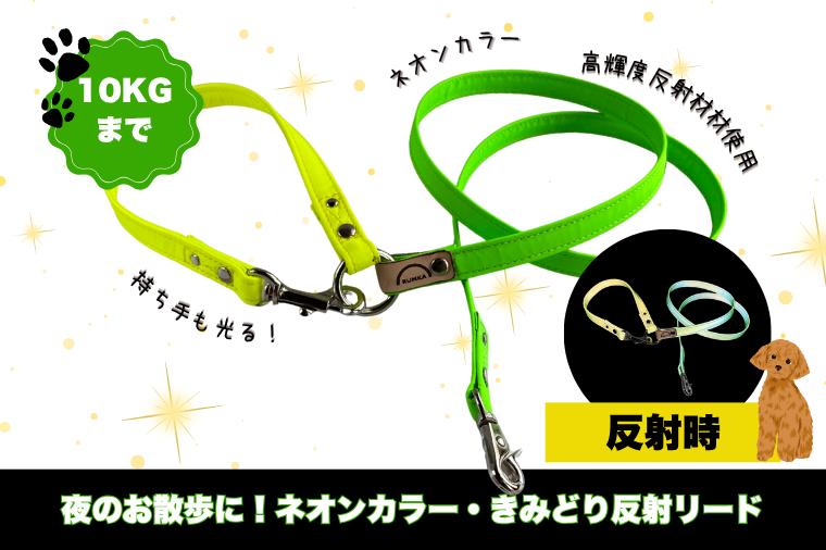 
            【小型犬用10キロまで】光るリード　ネオンカラー反射材（黄緑）持ち手まで反射材【散歩 愛犬 夜散歩 手作り 阿見町 茨城県】（40-27）
          