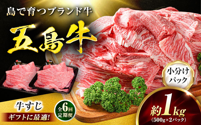 【6回定期便】五島牛 牛すじ1kg（500g×2P）五島市/meat shop FUKU [PHF007]