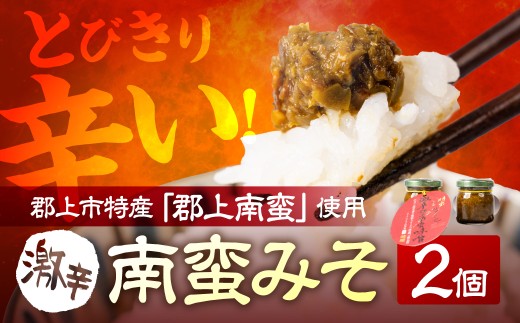 激辛郡上南蛮味噌2個　選べる 2個 6000円 　ご飯のお供 おかず 惣菜 佃煮 薬味
