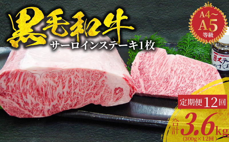 
            S001-022-T12_【定期便12回】A4～A5等級 黒毛和牛 サーロインステーキ 1枚（300g）たれ1本付
          