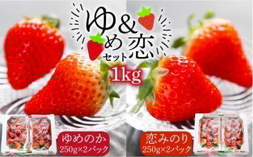【先行予約】ゆめ恋セット（ゆめのか・恋みのり）計1kg 【2025年2月以降順次発送】《壱岐市》【蒼花】[JEO001] いちご イチゴ 苺 フルーツ 果物 スムージー ジャム ゆめのか 恋みのり セット 食べ比べ 小分け パック 冷蔵 あまおう 15000 15000円