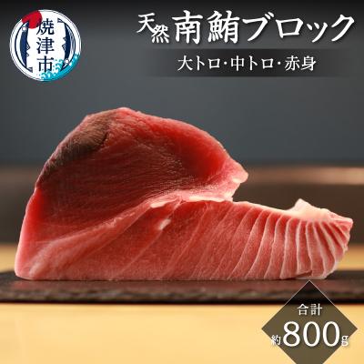 ふるさと納税 焼津市 キボシ水産 天然 南鮪 ブロック 大トロ 中トロ 赤身 約800g(a25-045)