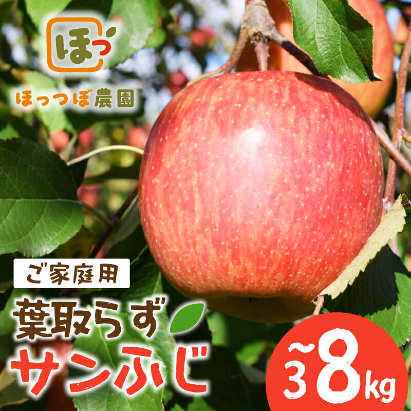 【ふるさと納税】[先行予約] 訳あり サンふじ 選べる 3kg～8kg りんご 葉取らずサンふじ リンゴ 林檎 ふじ フジ サンフジ 果物 くだもの フルーツ 林檎 産地直送 農家直送 新鮮 国産 冬 傷 訳アリ わけあり 家庭用 おやつ スイーツ デザート ringo apple 宮城県 岩沼市 東北